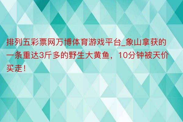 排列五彩票网万博体育游戏平台_象山拿获的一条重达3斤多的野生大黄鱼，10分钟被天价买走！