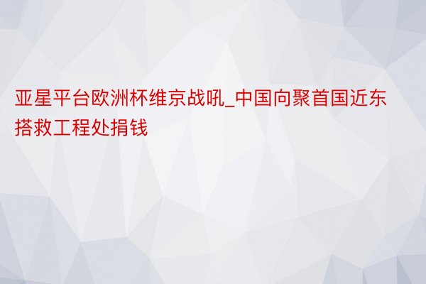 亚星平台欧洲杯维京战吼_中国向聚首国近东搭救工程处捐钱