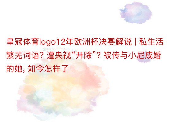 皇冠体育logo12年欧洲杯决赛解说 | 私生活繁芜词语? 遭央视“开除”? 被传与小尼成婚的她, 如今怎样了