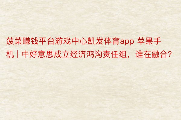 菠菜赚钱平台游戏中心凯发体育app 苹果手机 | 中好意思成立经济鸿沟责任组，谁在融合？